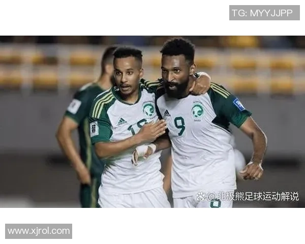 球星观赛美国足球比赛精彩瞬间解析与深度分析